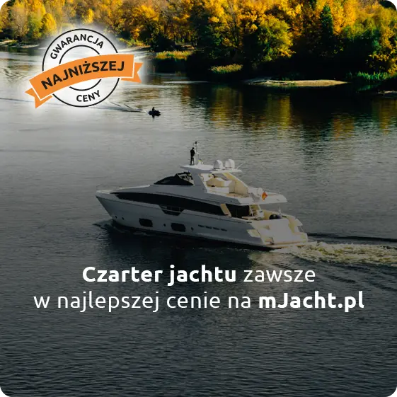 discount-banner